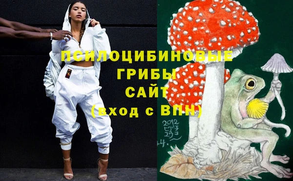 соль ск Абаза