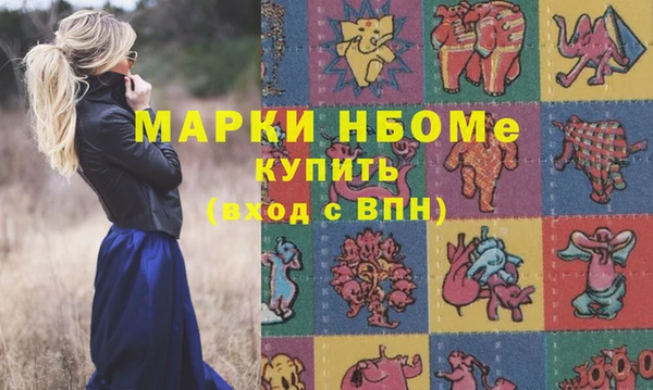 мет Алексин