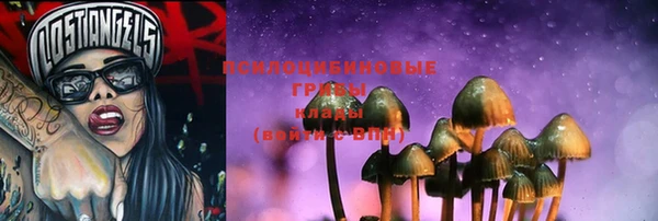 прущие крисы Алзамай