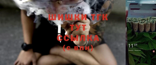соль ск Абаза