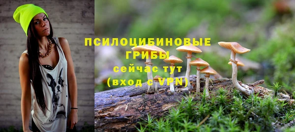 соль ск Абаза