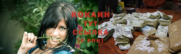шишки Абинск